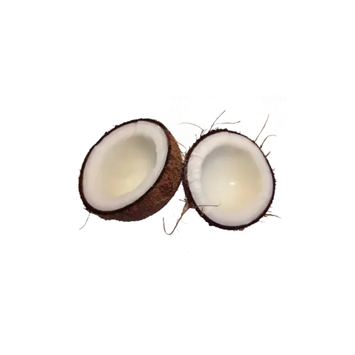 COCONUT No. 40